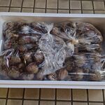 一条流がんこ総本家分家四谷荒木町 - 赤貝20kg！