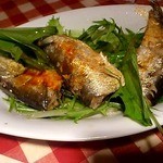 ワインバー テラ - 2012/11 オイルサーディーン