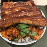 Unagi Kazutomo - 