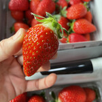 姫路ハートフル観光農園 - 