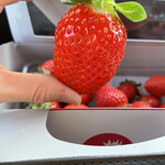 姫路ハートフル観光農園 - 