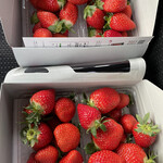 姫路ハートフル観光農園 - 