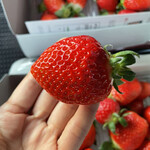 姫路ハートフル観光農園 - 