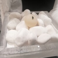 クイントカント - 