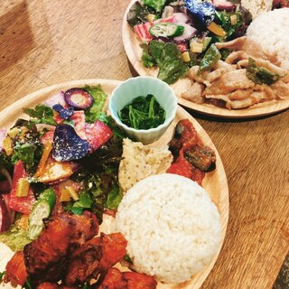 味噌dining cotokama_1