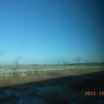 ダイナープレヤデス - 