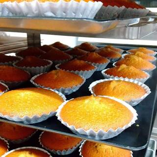 ニワトリトヤギト_1