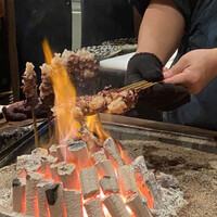 たでの葉 - ツキノワグマ