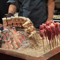 たでの葉 - オナガガモネギ間とオナガガモ胸肉