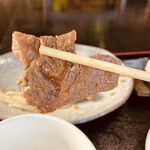 虎羽空 - 色が違う部位が筋なんです