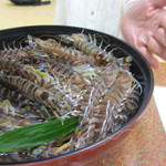 名物の車海老づくしで大満足 By Fujimo123 ロッジ姫島 大分 旅館 オーベルジュ その他 食べログ