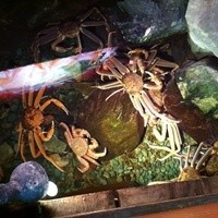 網元本館 - 