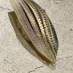 赤坂 鮨みのはら - 