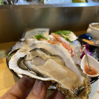 四ツ橋・新町 牡蠣と肉たらしビストロAKIRA - 