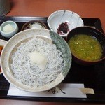 つな八 - 野菜の天ぷらと釜揚げシラス丼1,100円