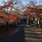 ガリレオ 八兵衛 - 東圓時さん