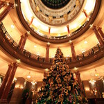 アンジェロ - ディナー　⇒