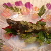 モナリザ 恵比寿店 - アミューズ　メヒカリのフリット