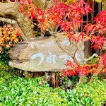 つれづれ - ◎店の前庭の紅葉は綺麗。