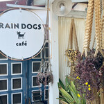 RAIN DOGS - 