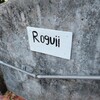 Roguii - 