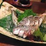 魚棚 - 鯵のお刺身