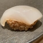 熟成鮨 万 - アオリイカ