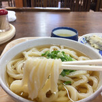 うどん処  しんせい - 捻じれが特徴的
ガシガシしてます