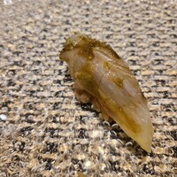 川崎 鮨 よこ田 - 