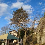 越路 さいかち庵 - さいかちのキ