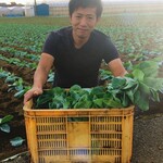 ◆野菜ソムリエ「涌井 資明」