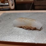 寿司栄 - アオリイカ