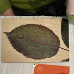 クイントカント - 