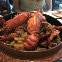 CINA New Modern Chinese - 