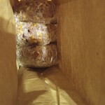 和ごころ 泉 - 余ったご飯はお握りに