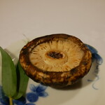 由布院 玉の湯 - 