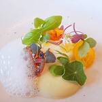 MAISON LAFITE - 特製モッツァレラとトマトの泡