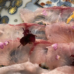 ひさご寿し - いわとこなまず