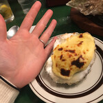 ボラーチョ - 手のひらサイズ