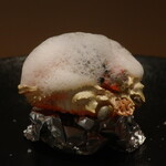 フィエルテ - 兵庫県産 セイコガニ/仏産 キャビアアップ