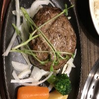 鐵 - レギュラーハンバーグ