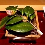 銀座 しのはら - 椿と敷松葉のお飾り