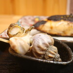 Kassen Oka Moto - バイ貝の煮つけ