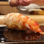 鮨 むらやま - 車海老