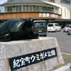 道の駅　紀宝町　ウミガメ公園