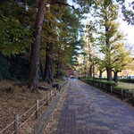 信川円 - 大学道路を挟んで東西に一橋大学の広大なキャンパスが配置されている