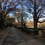 信川円 - 広い歩道