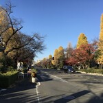 信川円 - JR国立駅前の大学通り。正面に三角屋根の国立駅舎