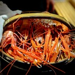 温石 - 真ん中の子、めっちゃ睨んで来ますやん。