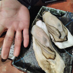 北海道さかな一途 直営魚問屋 - クーポンでいただいた牡蠣